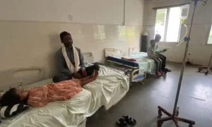 lizard fell in vegetable