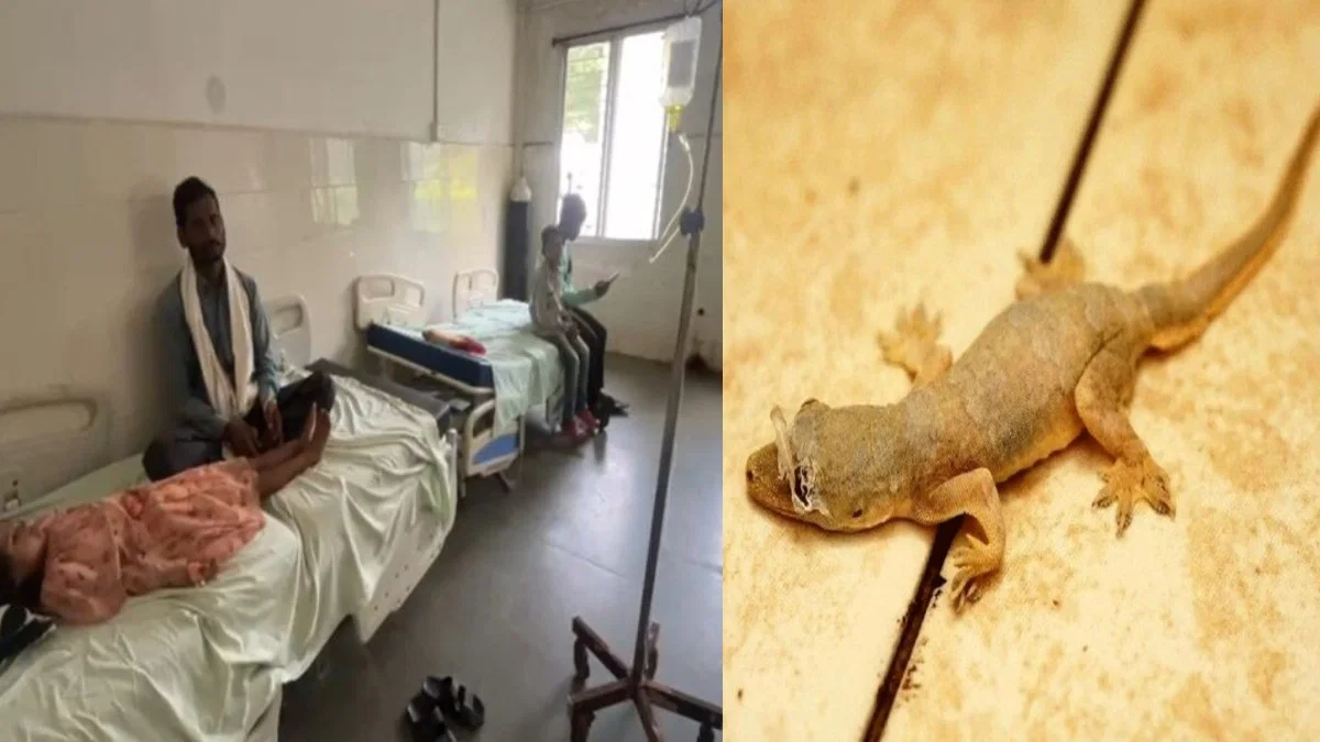 सब्जी में गिरी छिपकली