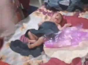 Mobile Torch Delivery Bilaspur