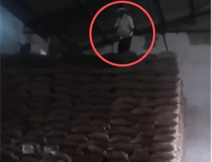 चांवल पर कर्मचारियों का पानी डालते हुए वीडियो वायरल