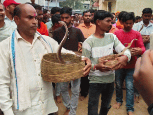 Devri village snake procession
