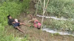 टमाटर चोरी करने गए पिता-पुत्र की करंट से मौत