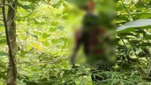 पेड़ पर लटका मिला युवक-युवती का शव