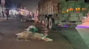 Truck Crushes Cattle