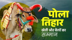 पोला तिहार 2025