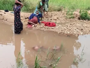नाले में डूबे 2 मासूम जुड़वा भाई