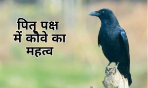 पितरों से कौवे का गहरा संबंध