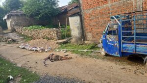 बिलासपुर अंधविश्वास में बेटे ने मां की हत्या