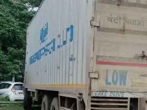 दुर्ग में कंटेनर ने रौंदी 8 गायें