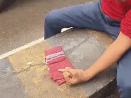 Cow Rajya Mata Demand