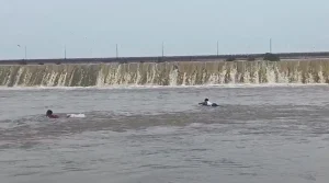 कोरबा प्रेमी जोड़ा डेम कूदा