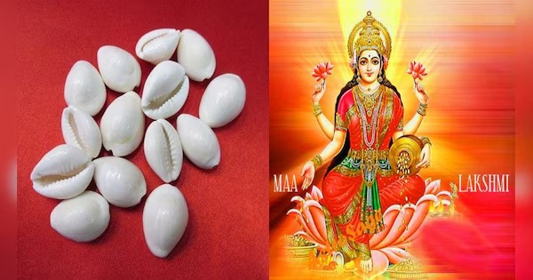 Diwali 2025: धनतेरस और दिवाली पर जरूर खरीदें कौड़ी, मां लक्ष्मी होंगी प्रसन्न, यहां रखने से मिलेगा धन लाभ