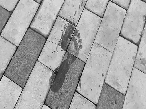 Jagdalpur Murder: महिला से अभद्र टिप्पणी करने पर युवक की बेरहमी से हत्या, 24 घंटे में मुख्य आरोपी समेत 3 नाबालिग गिरफ्तार