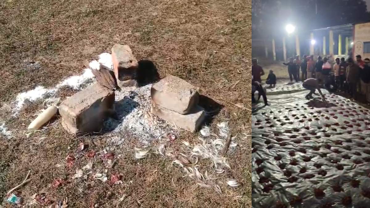 रेबीज संक्रमित कुत्ते के काटे बकरे की चढ़ाया बलि, फिर गांव वालों को खिलाया मांस, 200 से अधिक लोगों को रेबीज...