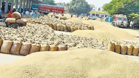 धान खरीदी में घोटाला , धान खरीदी के बाद होता था सत्यापन, अब स्टाक जांच में सामने आ रहा घपला !