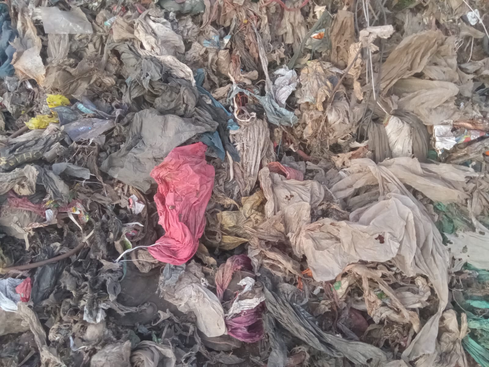 Balodabazar News: बिटकुली गांव को कचरा डंपिंग ज़ोन बदलने की साजिश, ग्रामीणों में आक्रोश