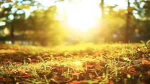 CG Weather Update: छत्तीसगढ़ में बढ़ा गर्मी का असर, दुर्ग और राजनांदगांव में पारा 39°C, अगले 3 दिन राहत नहीं CG Weather Update