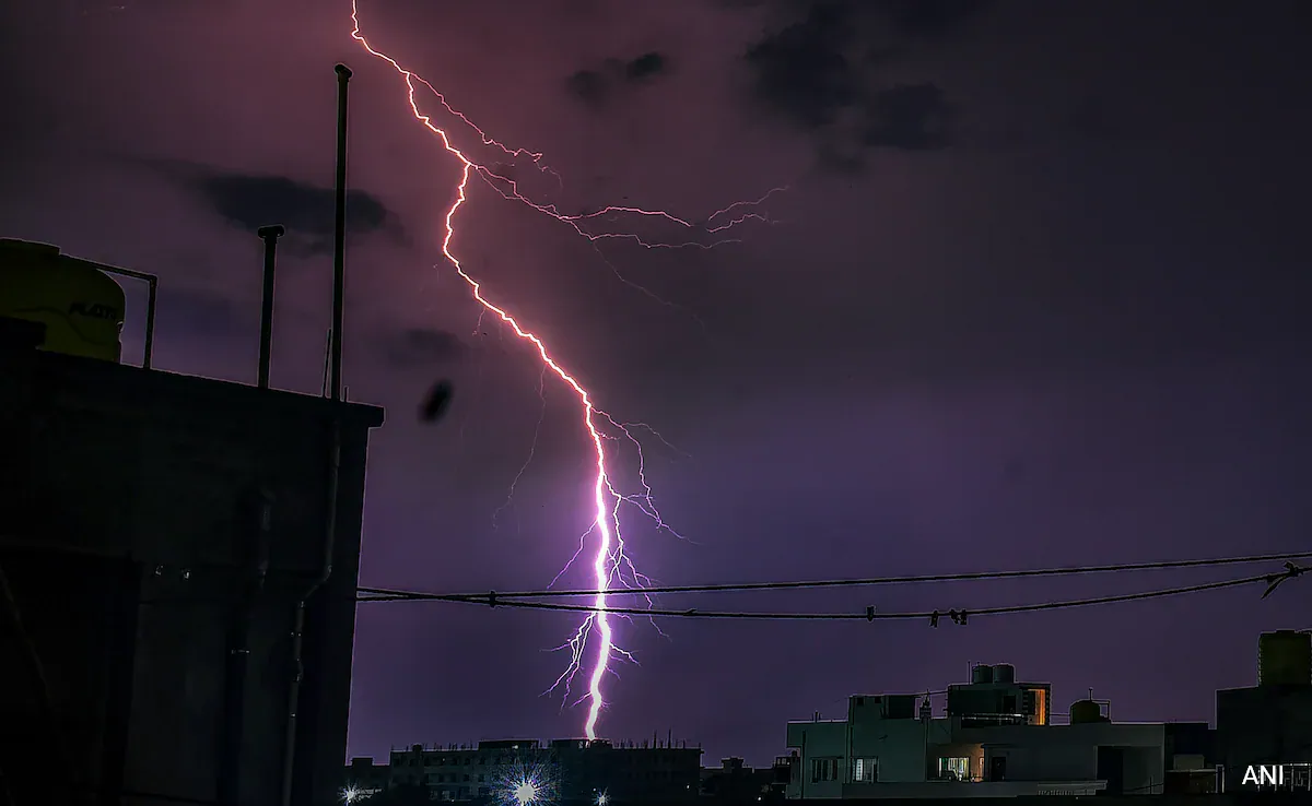 Sarguja News: बिजली गिरने से पेड़ के नीचे खड़ी बच्ची की मौत