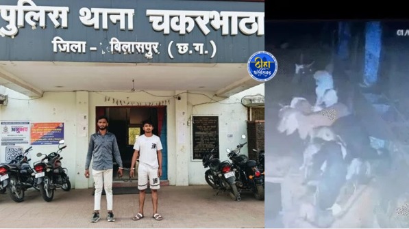 Bilaspur Goat Theft: