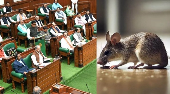 CG Budget Session 2026