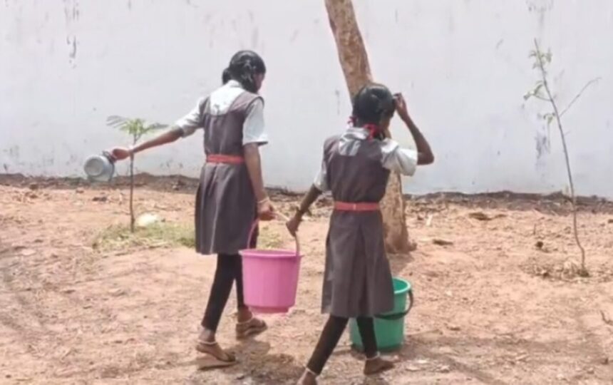 Janjgir Champa Video: