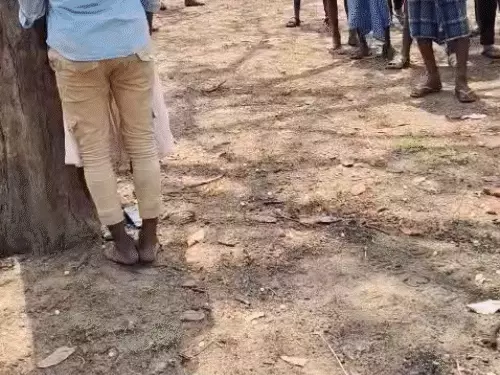 Raigarh Suicide: शादी में देरी हुई तो प्रेमी जोड़े ने दी जान, पेड़ पर लटके मिले शव, 6 महीने पहले हुई थी सगाई Comp 147 61775639653 1775733547