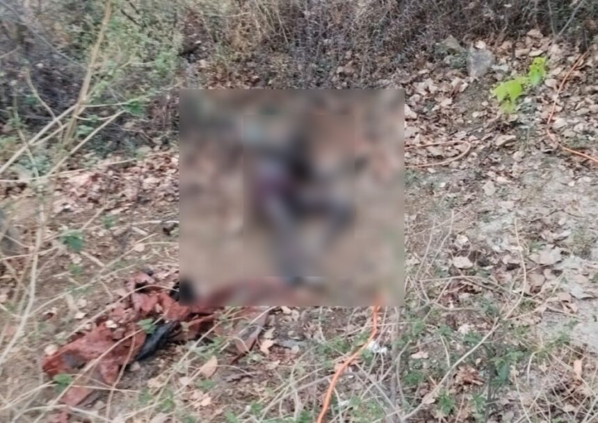 Bilaspur Murder: नेशनल हाइवे किनारे युवक की अर्धनग्न सड़ी-गली लाश, हत्या की आशंका