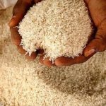 CG News: छत्तीसगढ़ में भारत सरकार की नई ‘इम्प्रूव्ड राइस स्कीम’ को लागू करने की तैयारी शुरू हो गई है। इसी को लेकर रायपुर के न्यू सर्किट हाउस में खाद्य, नागरिक आपूर्ति एवं उपभोक्ता संरक्षण विभाग द्वारा एक दिवसीय राज्य स्तरीय कार्यशाला आयोजित की गई। कार्यशाला की अध्यक्षता विभाग की सचिव रीना बाबा साहेब कंगाले ने की। (Improved Rice Scheme)