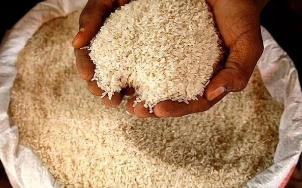 CG News: छत्तीसगढ़ में भारत सरकार की नई ‘इम्प्रूव्ड राइस स्कीम’ को लागू करने की तैयारी शुरू हो गई है। इसी को लेकर रायपुर के न्यू सर्किट हाउस में खाद्य, नागरिक आपूर्ति एवं उपभोक्ता संरक्षण विभाग द्वारा एक दिवसीय राज्य स्तरीय कार्यशाला आयोजित की गई। कार्यशाला की अध्यक्षता विभाग की सचिव रीना बाबा साहेब कंगाले ने की। (Improved Rice Scheme)