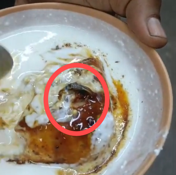 CG Dahi Bada Video