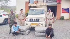 Mahasamund Ganja Smuggling: कटहल की आड़ में गांजा तस्करी; भारी मात्रा में गांजा समेत 2 तस्कर गिरफ्तार