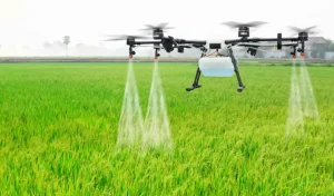 Dhamtari Drone Farming: कृषि क्षेत्र में आधुनिक तकनीक को बढ़ावा देने की दिशा में छत्तीसगढ़ के धमतरी जिले ने नई मिसाल कायम की है। जिले की 10 प्राथमिक कृषि साख सहकारी समितियों (PACS) में ड्रोन स्प्रेयर सुविधा शुरू की गई है। इसके साथ ही धमतरी देश का पहला जिला बन गया है, जहां सहकारी समितियों के माध्यम से किसानों को ड्रोन आधारित कृषि सेवाएं उपलब्ध कराई जाएंगी।