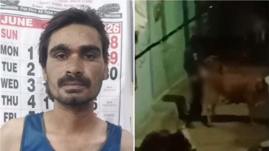 CG News: गाय के साथ घिनौनी करतूत, VIDEO वायरल; आरोपी गिरफ्तार