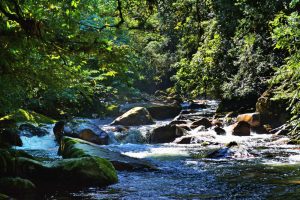 World Environment Day: हर वर्ष 5 जून को विश्व पर्यावरण दिवस मनाया जाता है। यह केवल एक औपचारिक आयोजन नहीं, बल्कि मानव और प्रकृति के बीच संतुलन बनाए रखने का एक वैश्विक अभियान है। आज जब दुनिया जलवायु परिवर्तन, बढ़ते प्रदूषण, जैव विविधता के क्षरण, जल संकट और प्राकृतिक संसाधनों के अंधाधुंध दोहन जैसी गंभीर चुनौतियों का सामना कर रही है, तब पर्यावरण संरक्षण की आवश्यकता पहले से कहीं अधिक बढ़ गई है। विश्व पर्यावरण दिवस लोगों को पर्यावरण के प्रति जागरूक करने और धरती को सुरक्षित रखने के लिए सामूहिक प्रयासों का संदेश देता है।