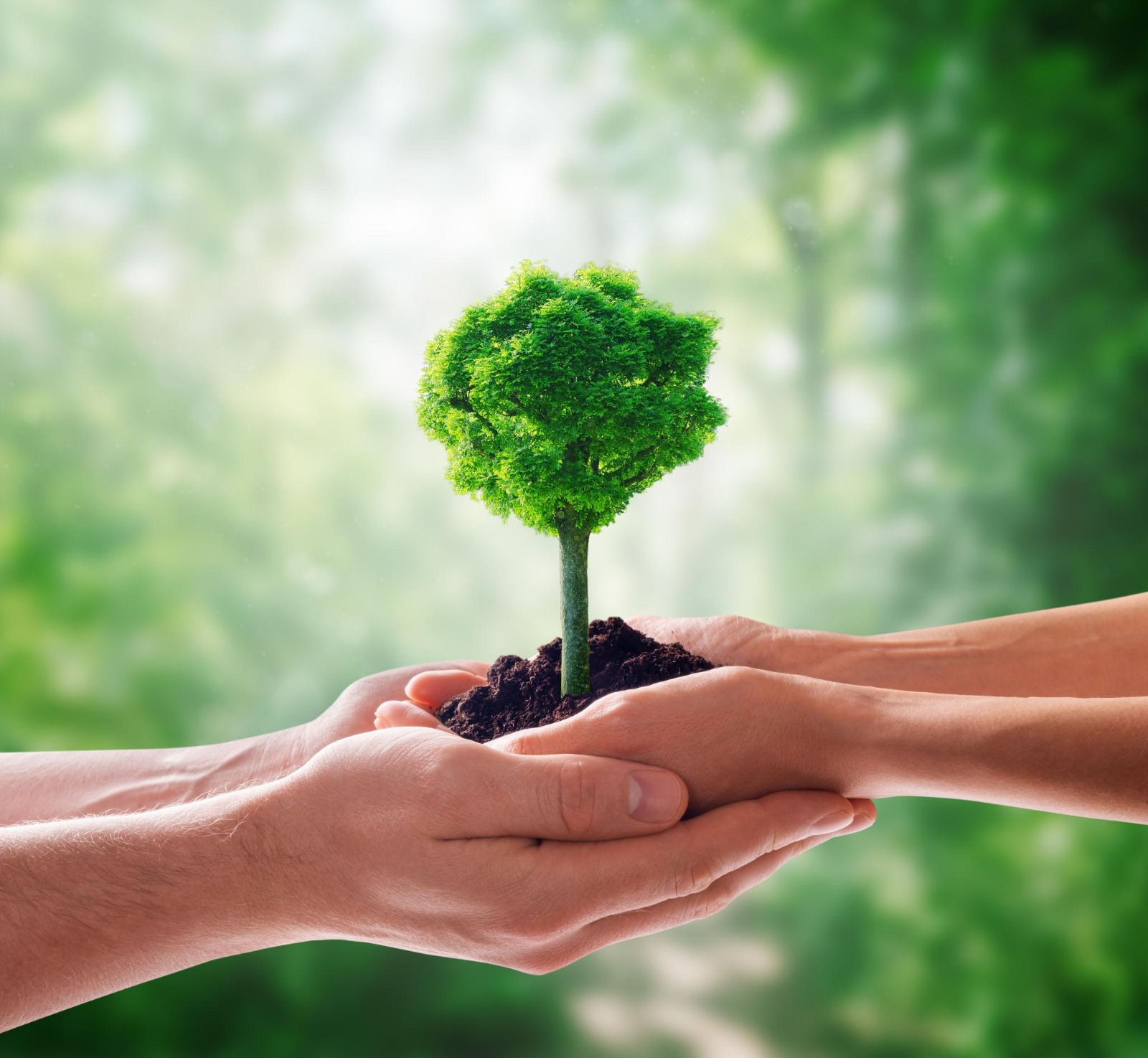 World Environment Day: हर वर्ष 5 जून को विश्व पर्यावरण दिवस मनाया जाता है। यह केवल एक औपचारिक आयोजन नहीं, बल्कि मानव और प्रकृति के बीच संतुलन बनाए रखने का एक वैश्विक अभियान है। आज जब दुनिया जलवायु परिवर्तन, बढ़ते प्रदूषण, जैव विविधता के क्षरण, जल संकट और प्राकृतिक संसाधनों के अंधाधुंध दोहन जैसी गंभीर चुनौतियों का सामना कर रही है, तब पर्यावरण संरक्षण की आवश्यकता पहले से कहीं अधिक बढ़ गई है। विश्व पर्यावरण दिवस लोगों को पर्यावरण के प्रति जागरूक करने और धरती को सुरक्षित रखने के लिए सामूहिक प्रयासों का संदेश देता है।