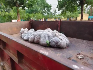 CG Double Murder: पुरानी रंजिश में पति-पत्नी का खौफनाक मर्डर, शवों को बोरों में भरकर श्मशान में दफनाए