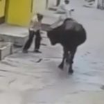 Korba Video: छत्तीसगढ़ के कोरबा जिले में बुधवार सुबह वार्ड क्रमांक 5 की पुरानी बस्ती में 55 वर्षीय एक व्यक्ति पर सांड ने हमला कर उसे सींग से उठाकर जमीन पर पटक दिया। घटना का सीसीटीवी वीडियो सामने आया है, जो सोशल मीडिया पर तेजी से वायरल हो रहा है। घायल व्यक्ति का अस्पताल में इलाज जारी है और उसकी हालत गंभीर बताई जा रही है।