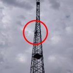 Jashpur Tower Suicide: टावर पर चढ़कर गर्लफ्रेंड ने लगाई फांसी, शादीशुदा बॉयफ्रेंड ने कहा- साथ नहीं रख सकता