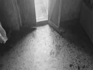 Raigarh Suicide: छत्तीसगढ़ के रायगढ़ जिले में एक युवक का शव घर के भीतर खून से लथपथ हालत में मिलने से इलाके में सनसनी फैल गई। कमरे में चारों ओर खून फैला हुआ था और युवक की कलाई की नस कटी हुई मिली। सूचना पर पहुंची पुलिस ने जांच शुरू कर दी है। प्रारंभिक जांच में मामला आत्महत्या का माना जा रहा है।