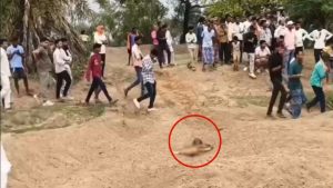 Mahasamund Murder: रेत में दबी मिली युवती की लाश, हत्या की आशंका