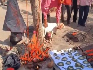 CG Poisoned Liquor: छत्तीसगढ़ के बलौदाबाजार जिले के खर्वे गांव में पिछले 3 महीनों में हुई 8 संदिग्ध मौतों का पुलिस ने सनसनीखेज खुलासा किया है। पुलिस के मुताबिक गांव के रहने वाले रामसहाय जायसवाल ने पुरानी रंजिश, विवाद, कर्ज, पत्नी पर गलत नजर रखने के शक और टोना-टोटका की आशंका के चलते कई लोगों को जहरीली शराब पिलाकर मौत के घाट उतार दिया। इस मामले में एक युवक की जान बच गई।