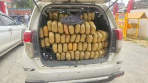 Raigarh Ganja Smuggling: 300 किलो गांजा समेत 3 अंतरराज्यीय तस्कर गिरफ्तार, गाड़ी में लगाए थे दो नंबर प्लेट