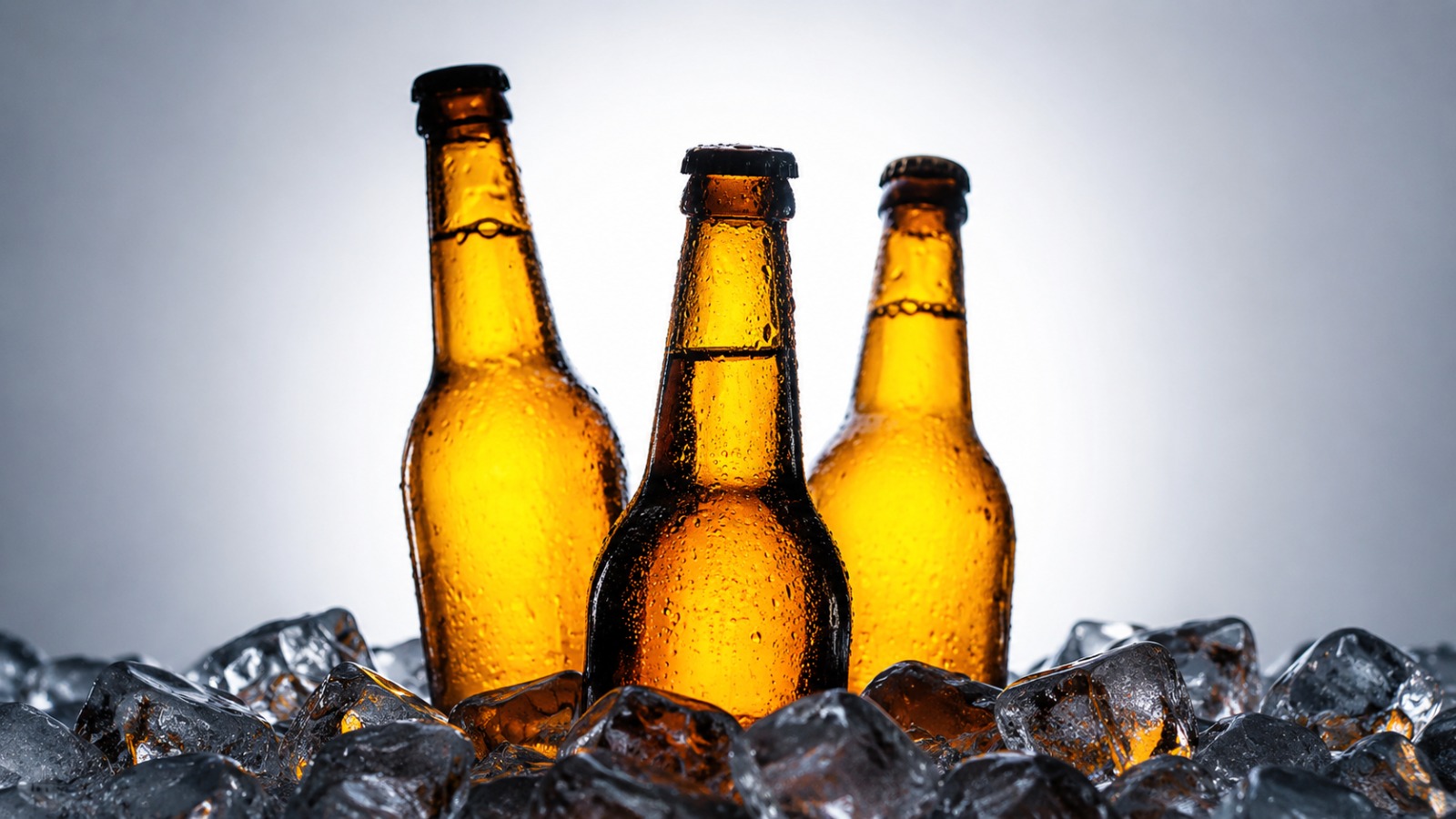 CG Microbrewery: छत्तीसगढ़ में मिलेगी फ्रेश क्राफ्ट बीयर, माइक्रो ब्रुअरी खोल सकेंगे लोग