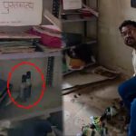 Kawardha Video: स्कूल में दारू पीते मिले मास्टर जी, DEO ने दिए जांच के निर्देश; देखें Video