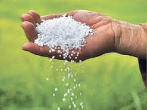 CG News: खाद खरीदी पर टोकन व्यवस्था खत्म, बिना ई-टोकन मिलेगा Urea और DAP