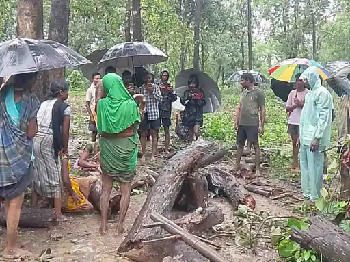 Bijapur Farmer Death: बीजापुर जिले के गंगालूर तहसील अंतर्गत ग्राम जरगोया में बुधवार सुबह खेत में जुताई के दौरान एक दर्दनाक हादसा हो गया। खेत के पास खड़ा सूखा पेड़ अचानक गिरने से उसकी चपेट में आए किसान की मौके पर ही मौत हो गई।