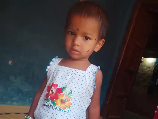 CG School Bus: मोहला-मानपुर-अंबागढ़ चौकी जिले में मंगलवार सुबह एक दर्दनाक सड़क हादसे में 2 साल की बच्ची की मौत हो गई। खड़गांव थाना क्षेत्र के घोटिया गांव में फ्लॉवर वैली इंग्लिश मीडियम स्कूल की बस की चपेट में आने से मासूम की मौके पर ही मौत हो गई।