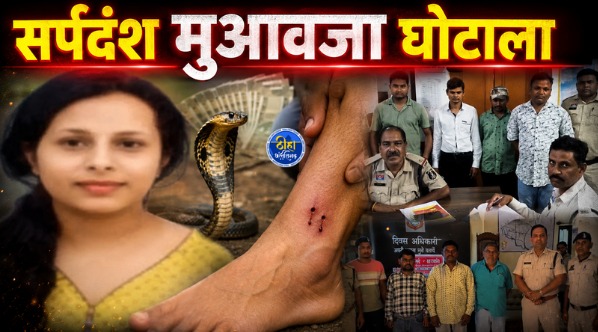 Bilaspur Scam: छत्तीसगढ़ के बिलासपुर में सर्पदंश मुआवजा घोटाले की जांच में बड़े खुलासे हो रहे हैं। अब तक डॉक्टर, पुलिसकर्मी और तहसील कर्मचारियों समेत 17 लोगों को गिरफ्तार किया जा चुका है। जांच में सामने आया है कि एक संगठित गिरोह सामान्य मौतों को सर्पदंश बताकर फर्जी दस्तावेज तैयार करता था और सरकारी मुआवजा हासिल करता था।