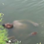 CG News: डेढ़ घंटे तक तालाब में पड़ा रहा युवक, मृत समझ बाहर निकाला तो उठकर बैठ गया