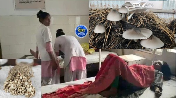 CG Food Poisoning: फुटु खाने वाले सावधान! जंगली मशरूम खाने से 9 लोगों की बिगड़ी तबीयत
